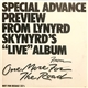 Lynyrd Skynyrd - One More From The Road